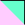 Rose-menthe
